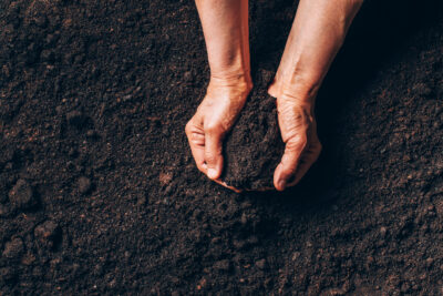 Hands holding black dirt